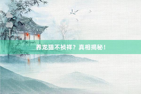 养龙猫不祯祥？真相揭秘！